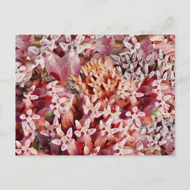 Postal Púrpura (Anverso)