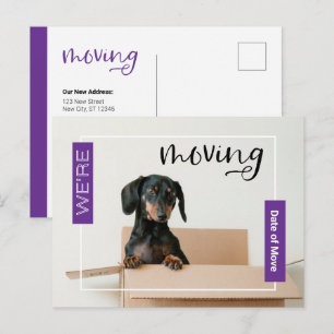 Postal Púrpura estamos moviendo a perro de Dachshund en p