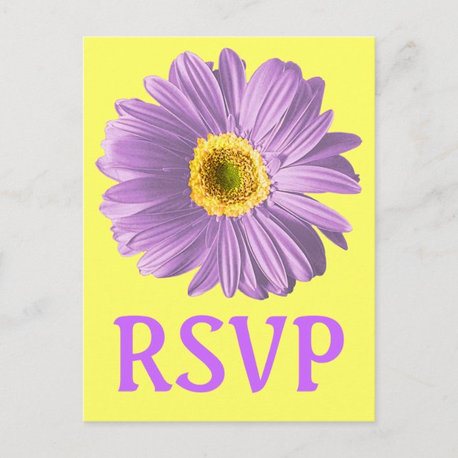 Postal Púrpura Flor De Daisy RSVP O Personalizado (Anverso)