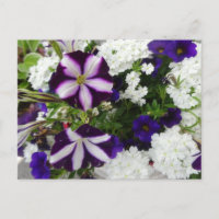 Púrpura Flores azules blancas HACER Postcard
