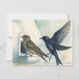 Postal Púrpura Martin Landlord Nature Swallow Bird Gours