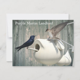 Postal Púrpura Martin Landlord Nature Swallow Bird Gours