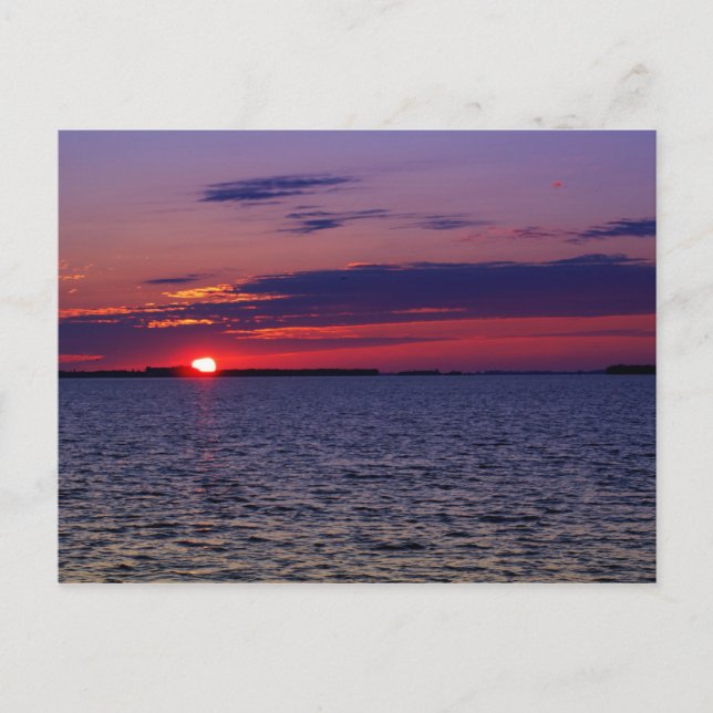 Postal Púrpura Pasión (Anverso)