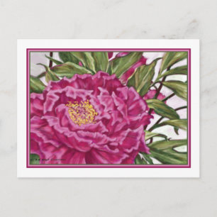 Postal Púrpura Peony Flowers Garden Pintura