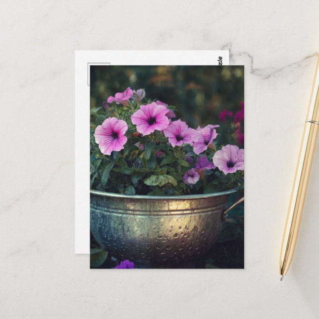 Postal Púrpura Petunias (Anverso/Reverso In Situ)