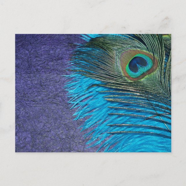 Postal Púrpura y Verde azulada Peacock (Anverso)