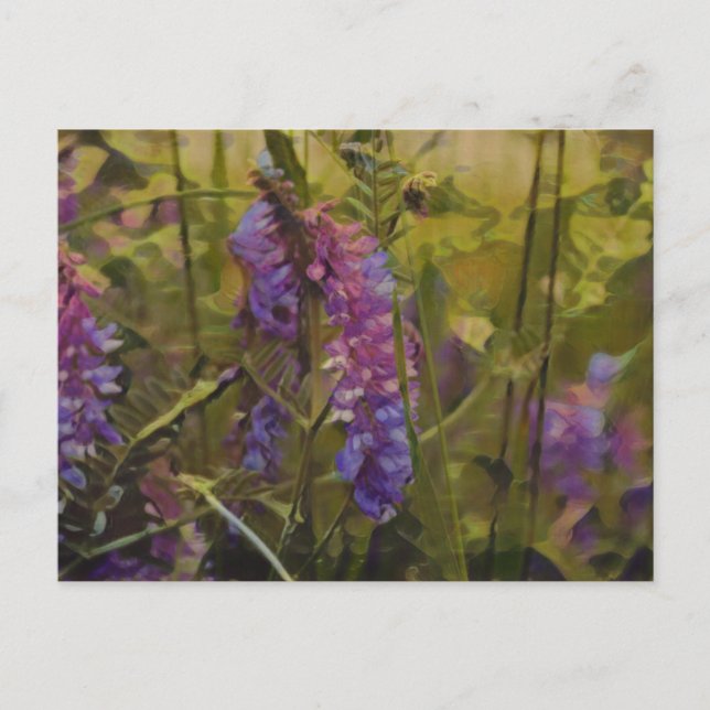 Postal Púrpura y verde lupino ártico (Anverso)