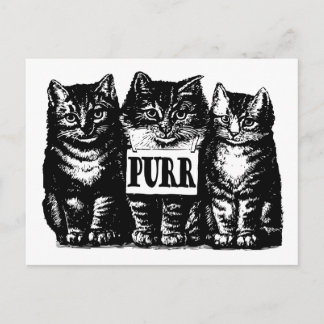 Postal Purr Kittens