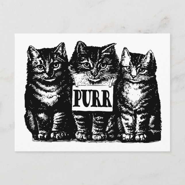 Postal Purr Kittens (Anverso)