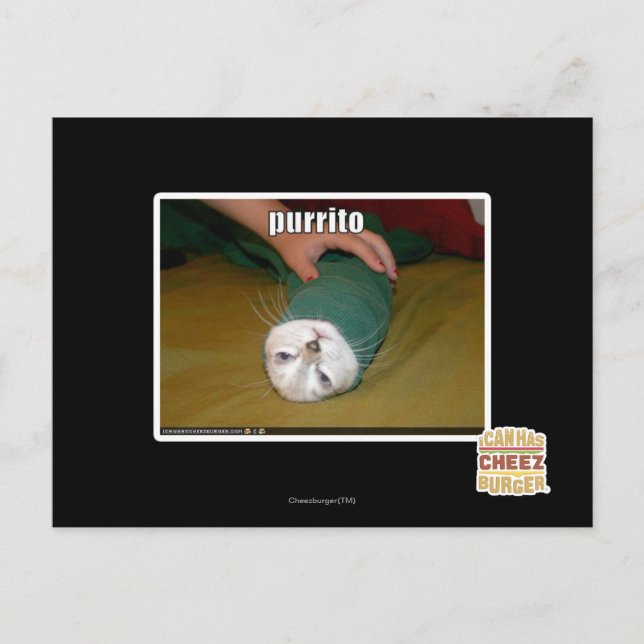 Postal purrito (Anverso)
