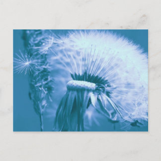 Postal Pusteblume