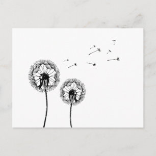 Postal Pusteblume