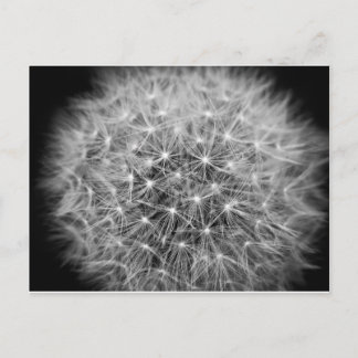 Postal Pusteblume