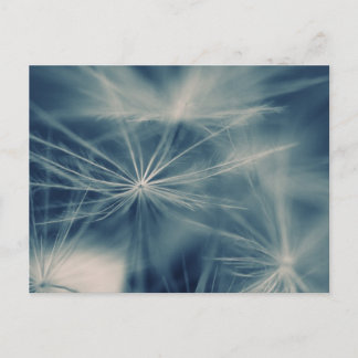Postal Pusteblume