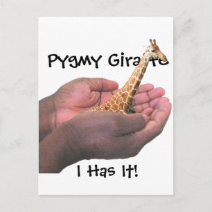 Postal Pygmy Giraffe