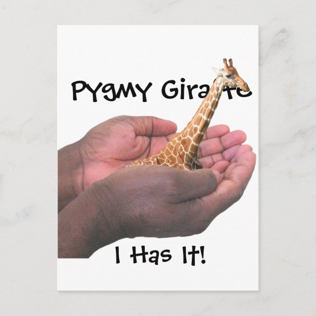 Postal Pygmy Giraffe (Anverso)