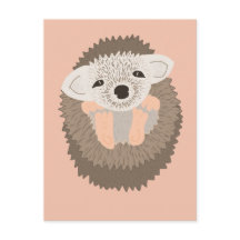 Pygmy Hedgehog es tan lindo!