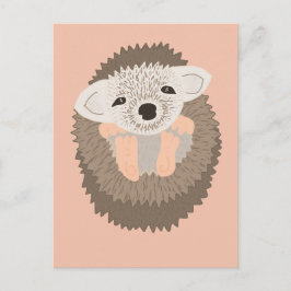 Postal Pygmy Hedgehog es tan lindo!