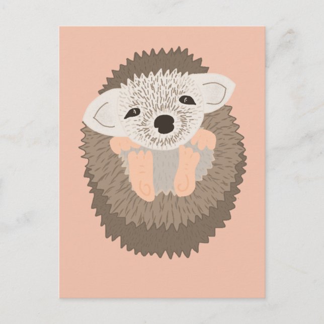 Postal Pygmy Hedgehog es tan lindo! (Anverso)
