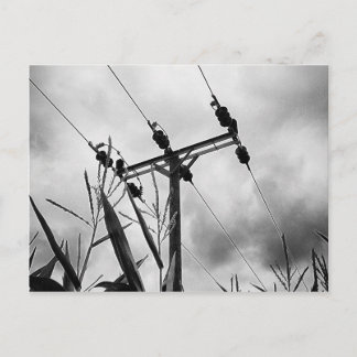 Postal Pylon blanco y negro