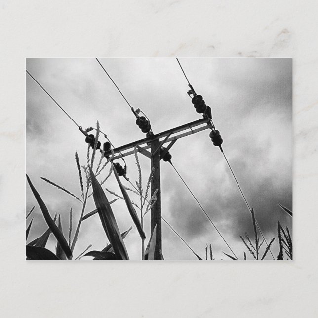 Postal Pylon blanco y negro (Anverso)