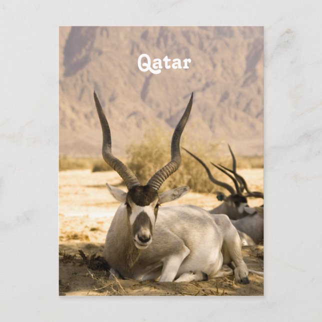 Postal Qatar (Anverso)