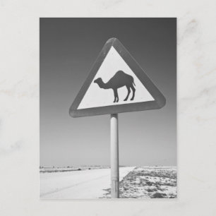 Postal Qatar, Al Zubarah. Señal de cruce de camellos - Ca