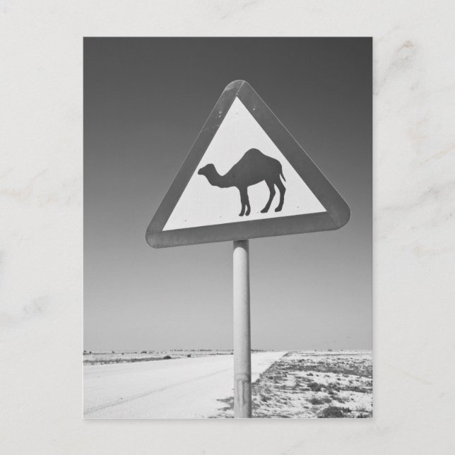 Postal Qatar, Al Zubarah. Señal de cruce de camellos - Ca (Anverso)