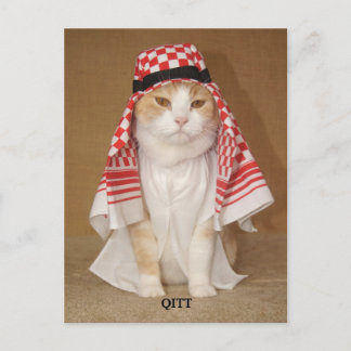 Postal QITT / Gato