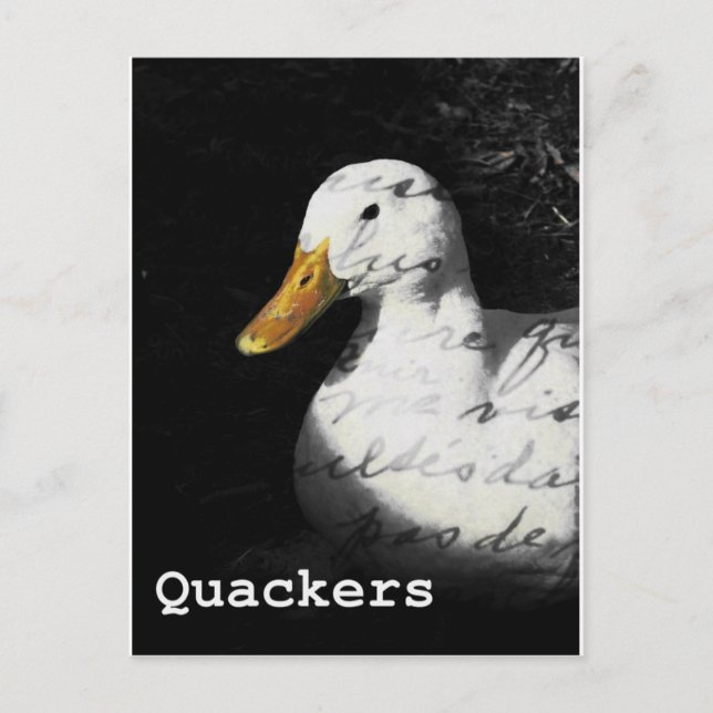 Postal Quackers (Anverso)