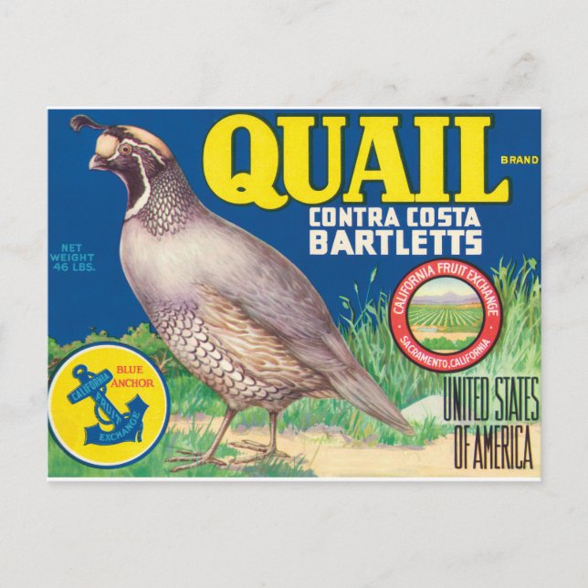 Postal Quail Contra Costa Bartletts Sacramento California (Anverso)