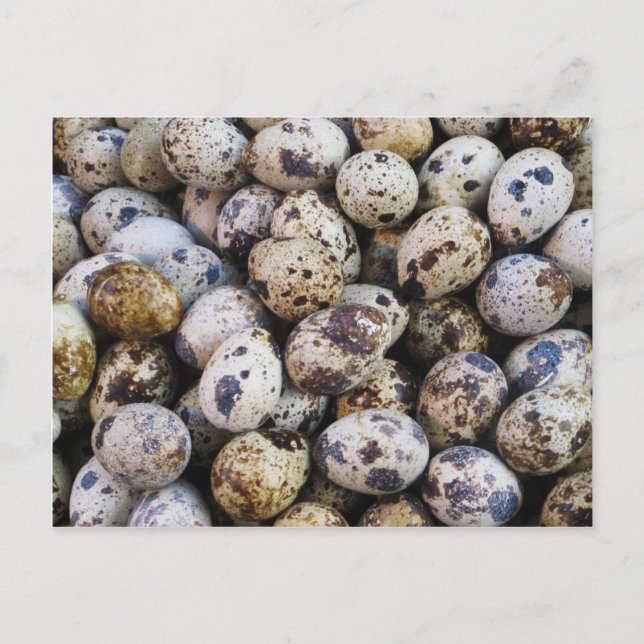 Postal Quail Eggs (Anverso)