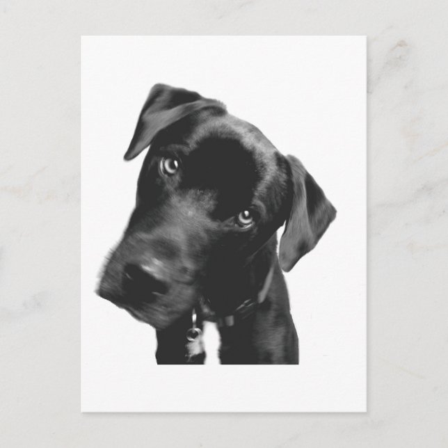 Postal ¿Qué? (Anverso)