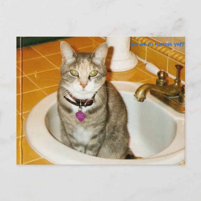 Postal ¿qué crees que quiero? (Anverso)