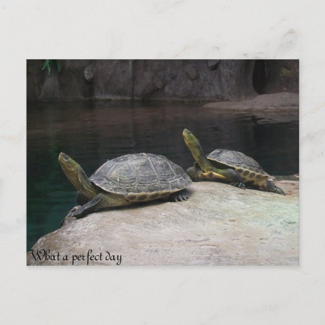 Postal Qué día perfecto (Anverso)