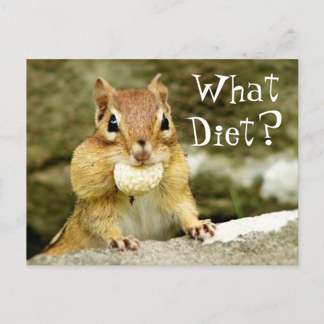 Postal ¿Qué dieta? Postcard de Chipmunk (Anverso)