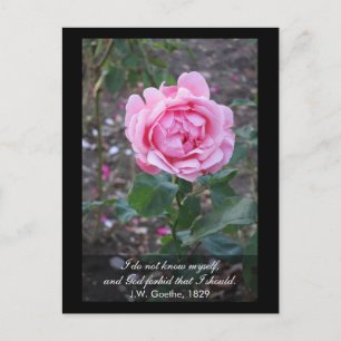 Postal Que Dios me prohíba conocerme a mí mismo -cita de 