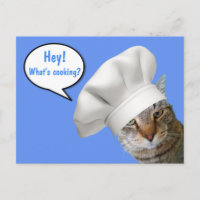 ¿Qué es Cocinar? Chef Cat