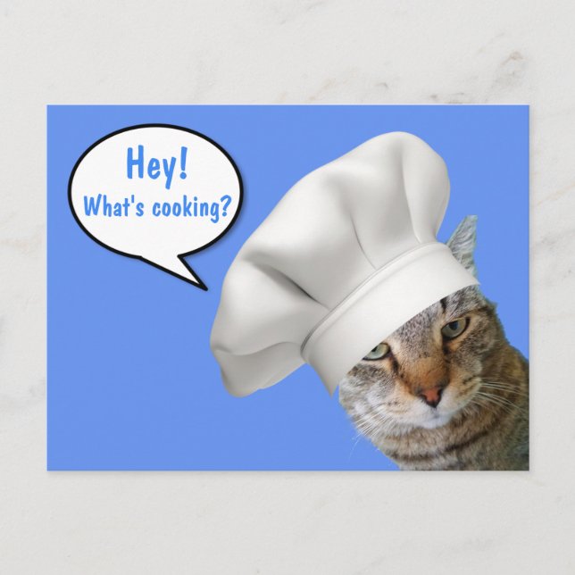 Postal ¿Qué es Cocinar? Chef Cat (Anverso)