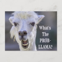 ¿Qué es el Prob- Llama? Cute Funny LLAMA