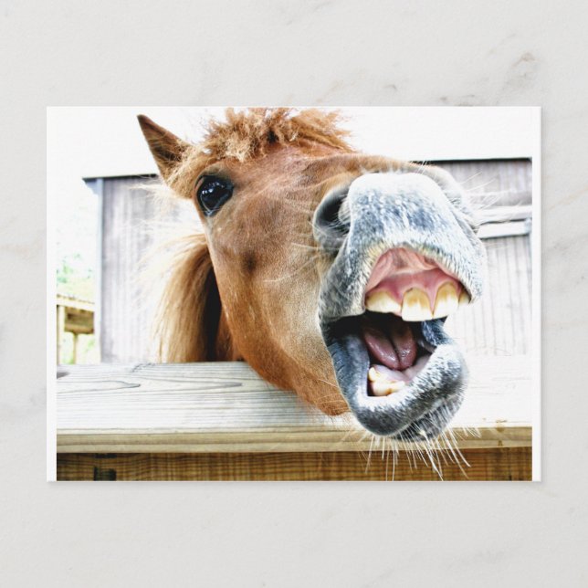 Postal ¿Qué es tan gracioso? (Anverso)