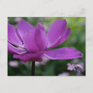 Postal ¿Qué escondes?