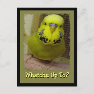 Postal ¿Qué Está Por Hacer?