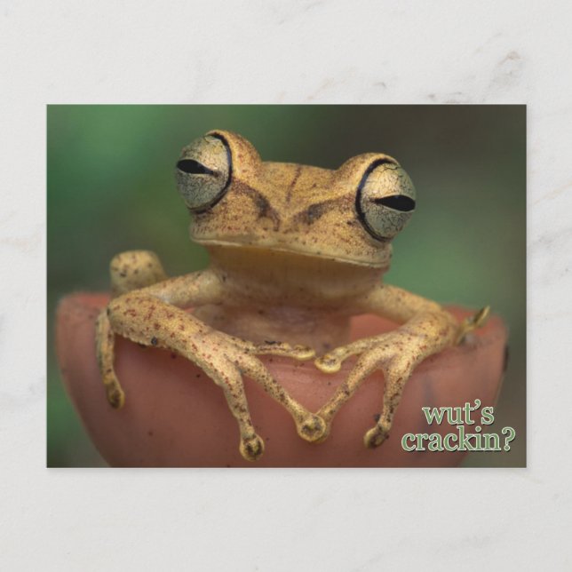 Postal ¿qué está resquebrajando? (Anverso)