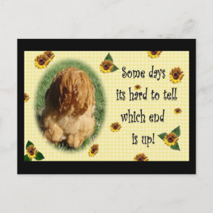 Postal ¡Qué fin está!