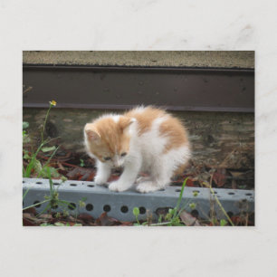 Postal "¿Qué hay ahí abajo?"