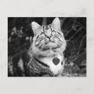 Postal Qué hay ahí arriba