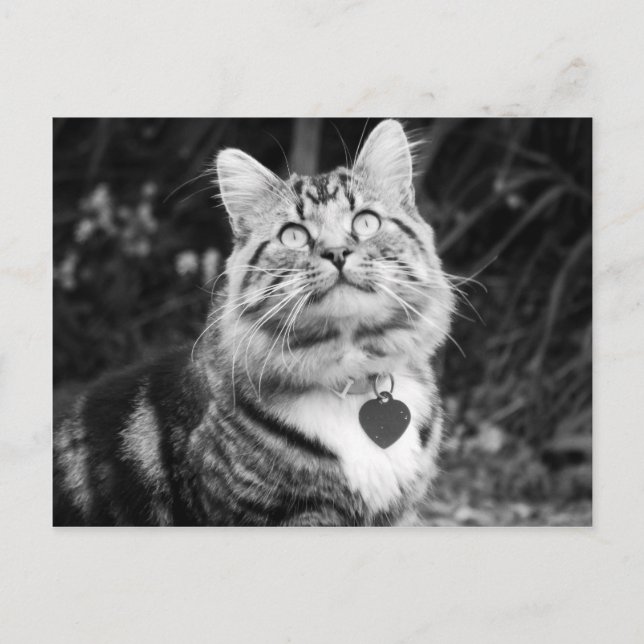 Postal Qué hay ahí arriba (Anverso)