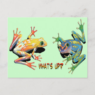 Postal ¿Qué hay de ranas?