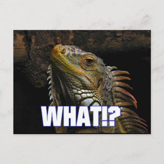 Postal ¿¡Qué!? Iguana